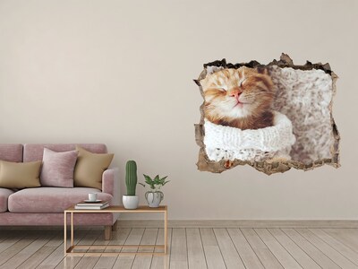 3D wall hole wallpaper Cute cat in a sweater