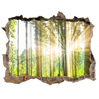 3D wall hole wallpaper Forest glade in the sunshine