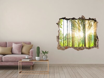 3D wall hole wallpaper Forest glade in the sunshine