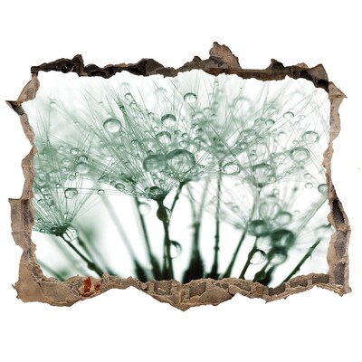 Hole wall sticker A floral dream behind the wall