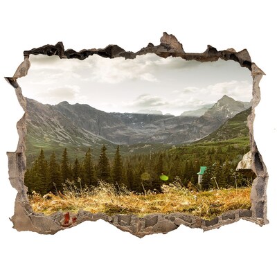 Hole in the wall decal Mountain landscape through a hole in the wall