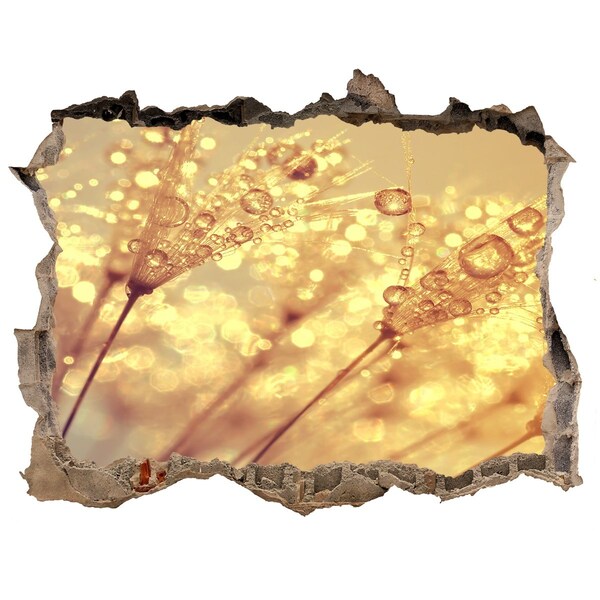 3D wall hole wallpaper Golden meadows in the sunlight