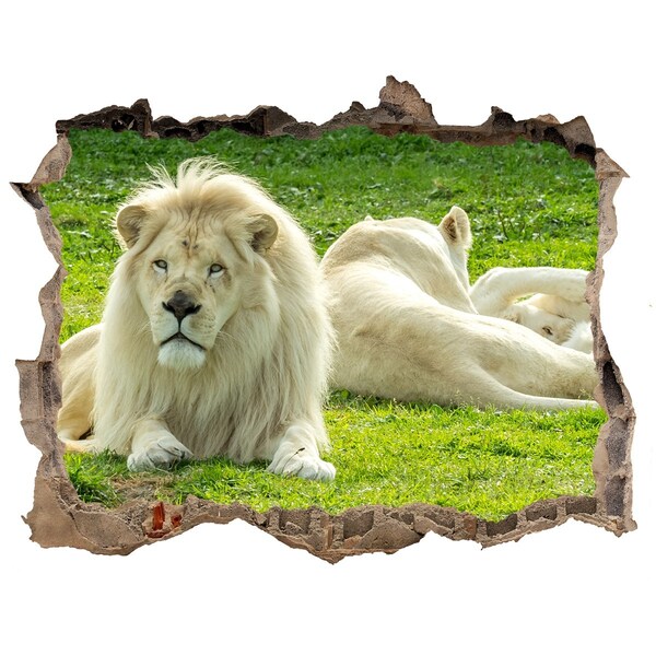 Hole wall sticker White lion in its natural habitat