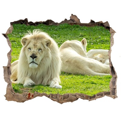Hole wall sticker White lion in its natural habitat