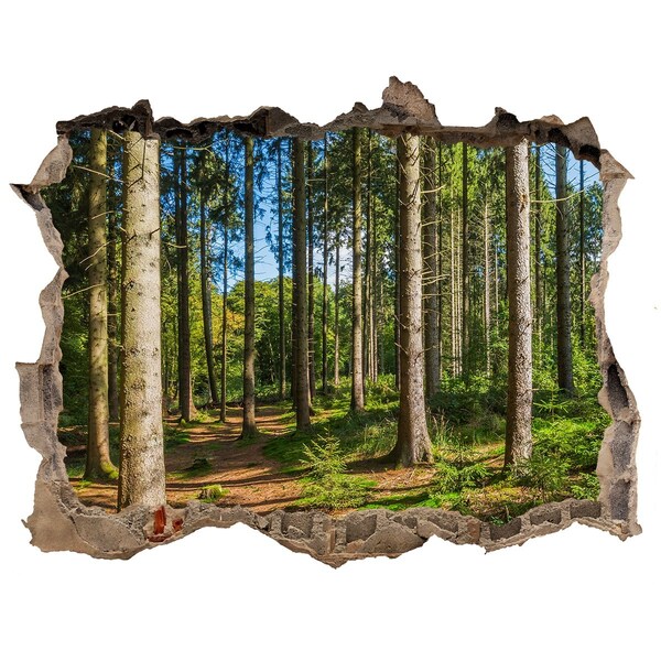 Hole in the wall sticker A forest path in the thicket of trees