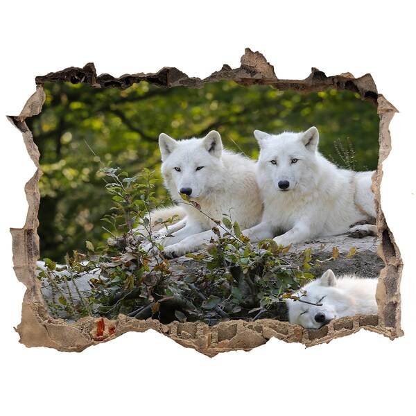 Hole wall sticker Arctic Wolves in a Natural Habitat
