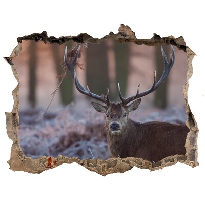 Hole wall sticker Deer in the forest