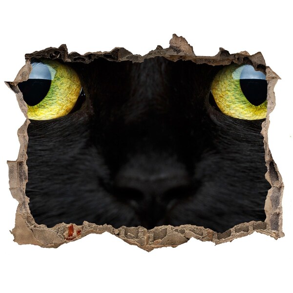 3D wall hole Black cat through a hole in the wall