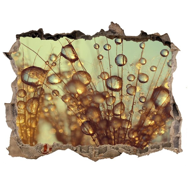 3D wall hole Drops on delicate hairs