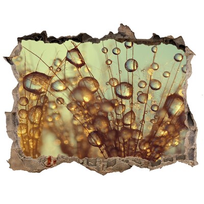 3D wall hole Drops on delicate hairs