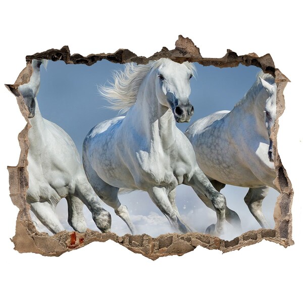 Hole in the wall decal White horses on the loose
