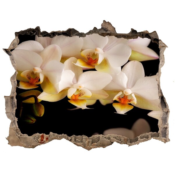 3D wall hole wallpaper Orchid flowers in the ruins