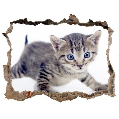 Hole in the wall decal Kitten in a hole in the wall