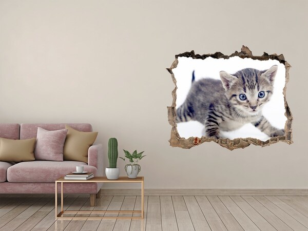 Hole in the wall decal Kitten in a hole in the wall