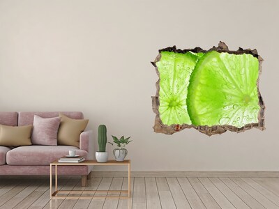 Hole in the wall decal Juicy lime in concrete