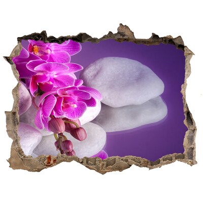 Hole wall sticker Orchids on a background of stones