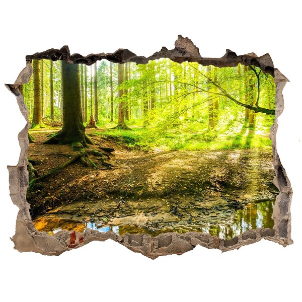 Hole wall sticker A forest oasis of peace