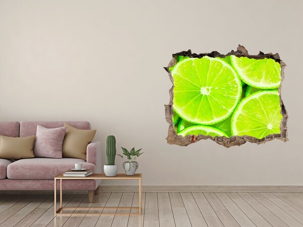 3D wall hole Aloe