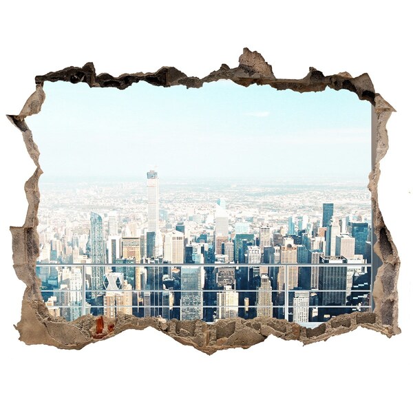 Hole wall sticker View of New York
