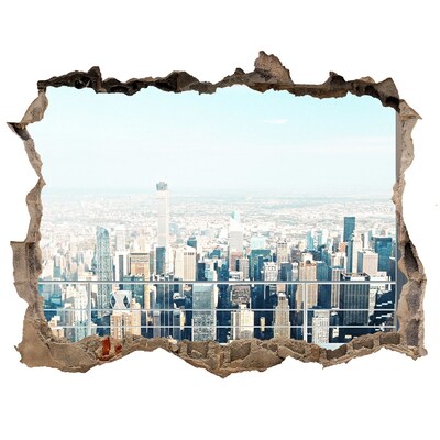 Hole wall sticker View of New York