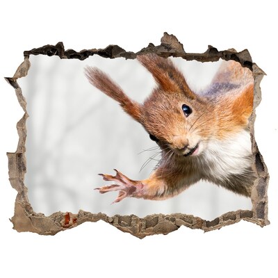 Hole in the wall decal Squirrel in action