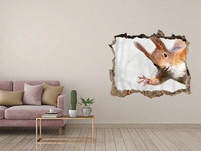 Hole in the wall decal Squirrel in action
