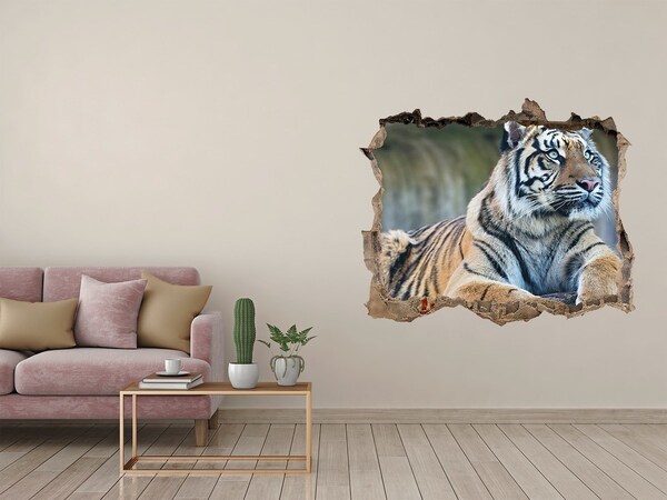 Hole in the wall decal Tiger in the wild