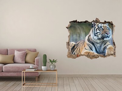 Hole in the wall decal Tiger in the wild