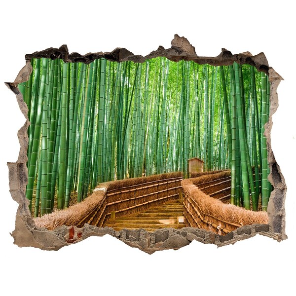 Hole in the wall decal Bamboo Forest Escape