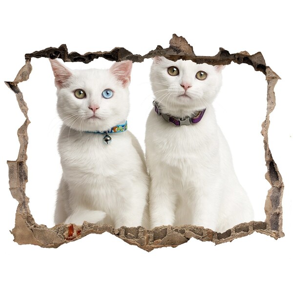 Hole in the wall decal Two white cats in a hole in the wall