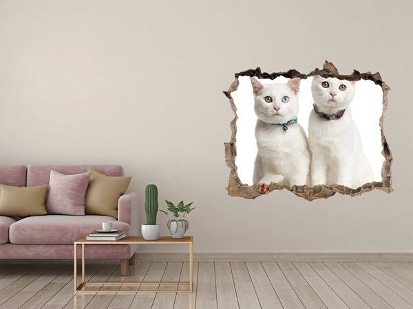 Hole in the wall decal Two white cats in a hole in the wall