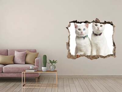 Hole in the wall decal Two white cats in a hole in the wall