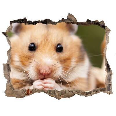 3D wall hole wallpaper Hamster in a transparent hole in the wall