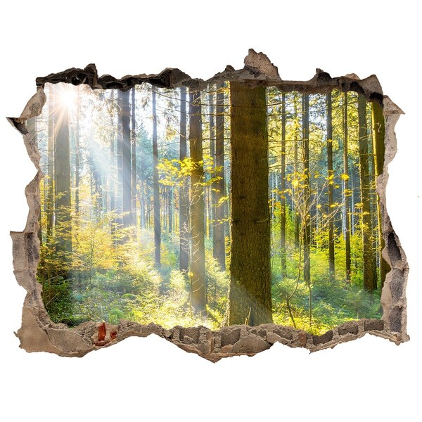 Hole wall sticker Forest oasis of light