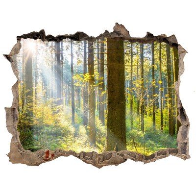 Hole wall sticker Forest oasis of light