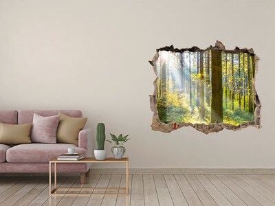 Hole wall sticker Forest oasis of light