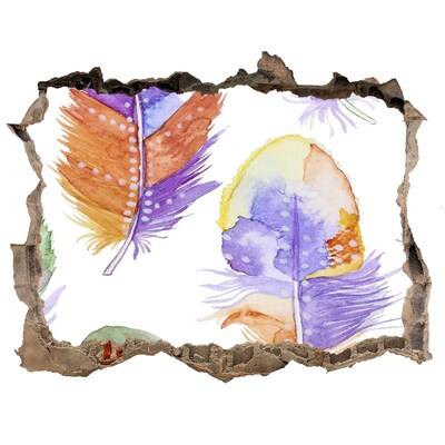 3D wall hole wallpaper Colorful feathers on the wall background
