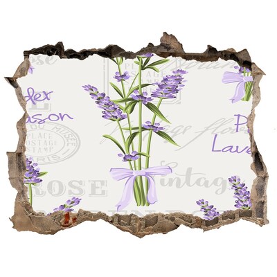 Hole in the wall decal Vintage Lavender Garden