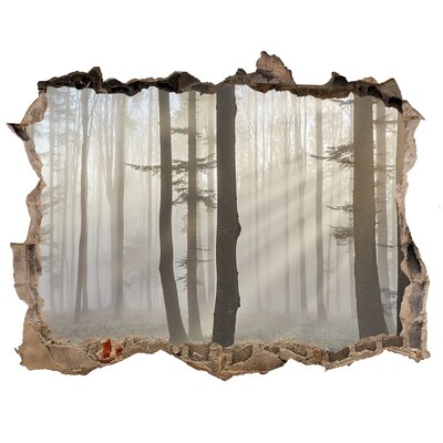 Hole in the wall sticker Misty forest in the morning light