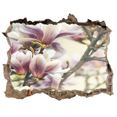 Hole in the wall decal Magnolia flowers in a damaged wall