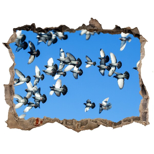 Hole in the wall decal Birds flying through a hole in the wall