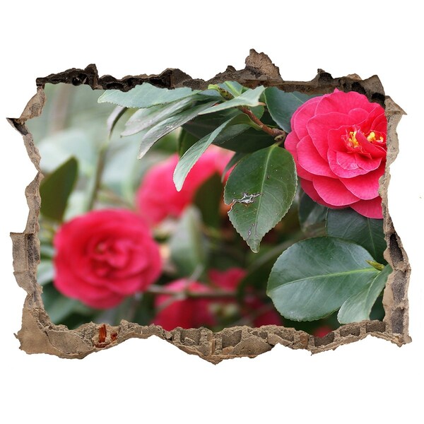 Hole in the wall sticker Flower garden in concrete