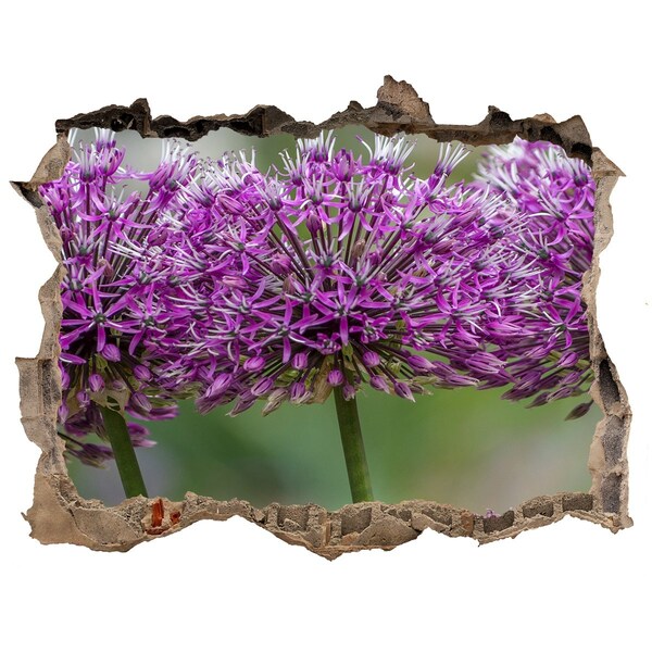 Hole in the wall sticker Flowers in bloom