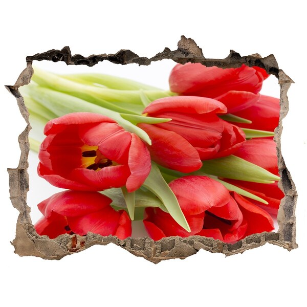 Hole in the wall decal Tulips in a broken wall