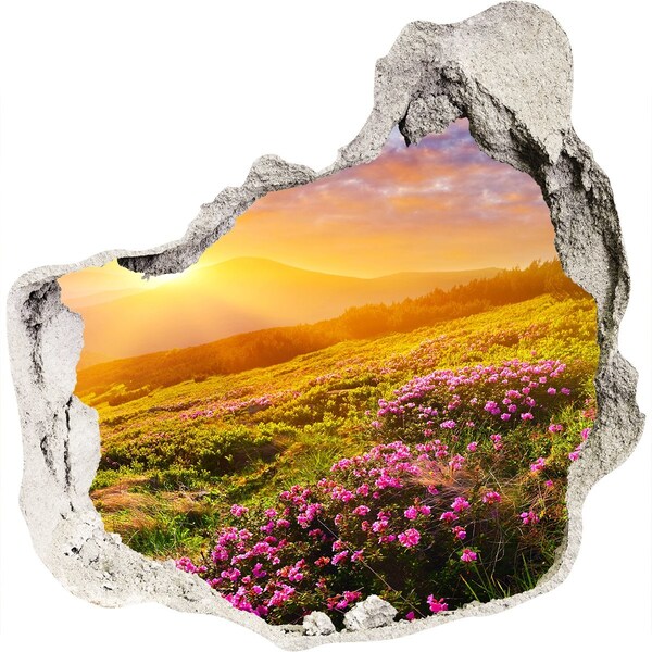 Hole wall sticker Mountain landscape at sunset