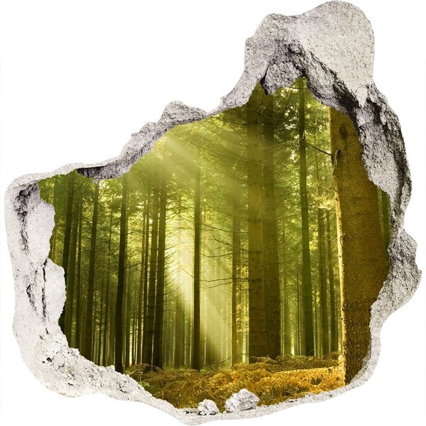 Hole wall sticker Green forest in the morning