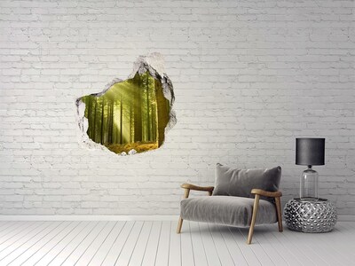 Hole wall sticker Green forest in the morning