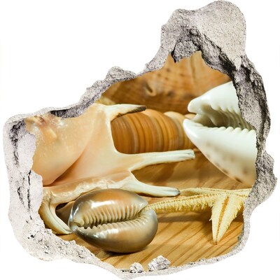 Hole in the wall decal Sea treasures