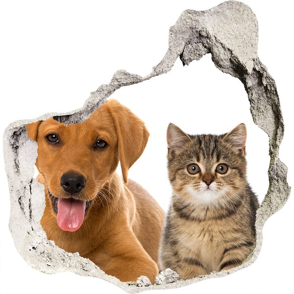 3D wall hole Dog and cat