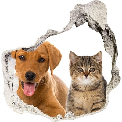 3D wall hole Dog and cat